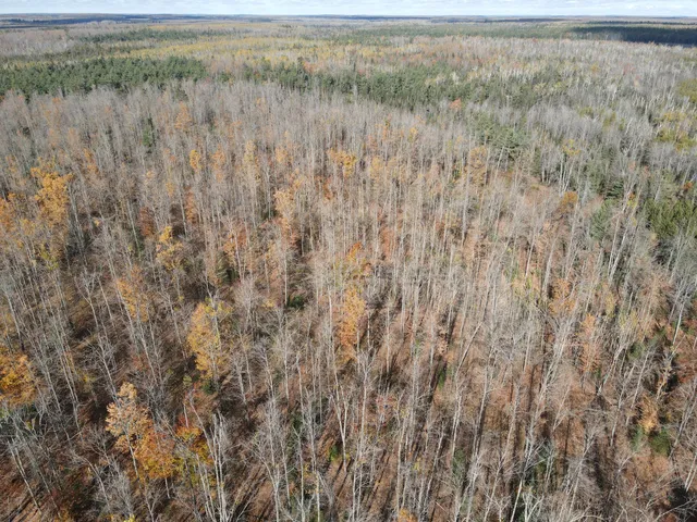 $39,000 | -vl Bowden Trail, Hillman, MI 49746