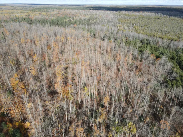 $39,000 | -vl Bowden Trail, Hillman, MI 49746