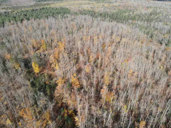 $52,500 | -vl Bowden Trail, Hillman, MI 49746