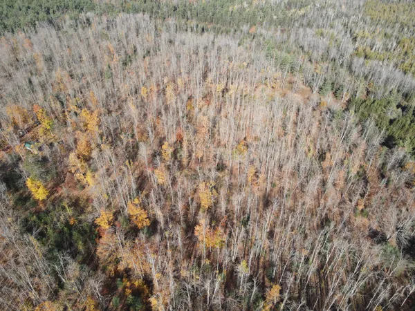 $52,500 | -vl Bowden Trail, Hillman, MI 49746