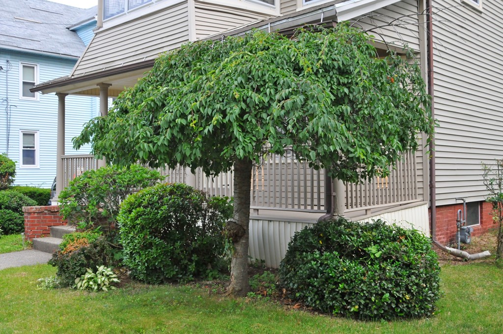 61 Somerset Street Springfield, MA 01108 - Photo 3 of 20 Gallery Image 3