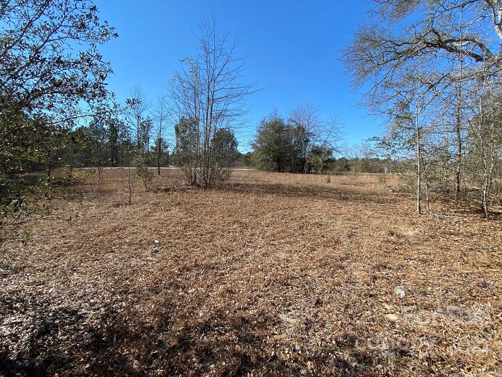3200 Timrod Road Bethune, SC 29009 - Photo 22 of 28 Gallery Image 22