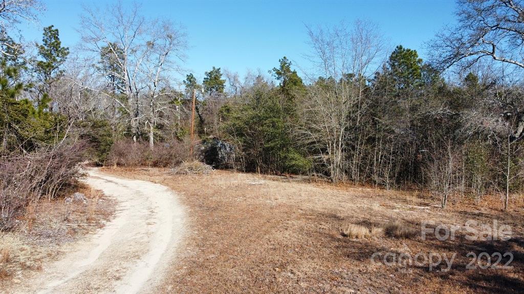 3200 Timrod Road Bethune, SC 29009 - Photo 24 of 28 Gallery Image 24