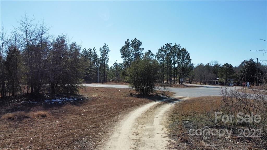 3200 Timrod Road Bethune, SC 29009 - Photo 28 of 28 Gallery Image 28