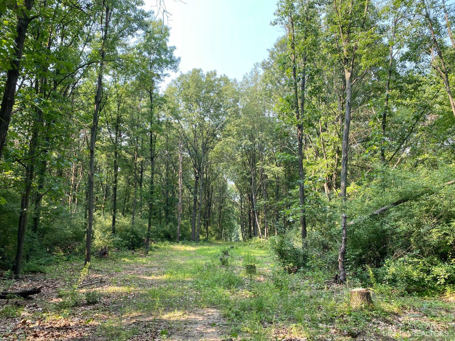0 Whipple Road Jackson, MI 49201 - Photo 1 of 10 Photo 1