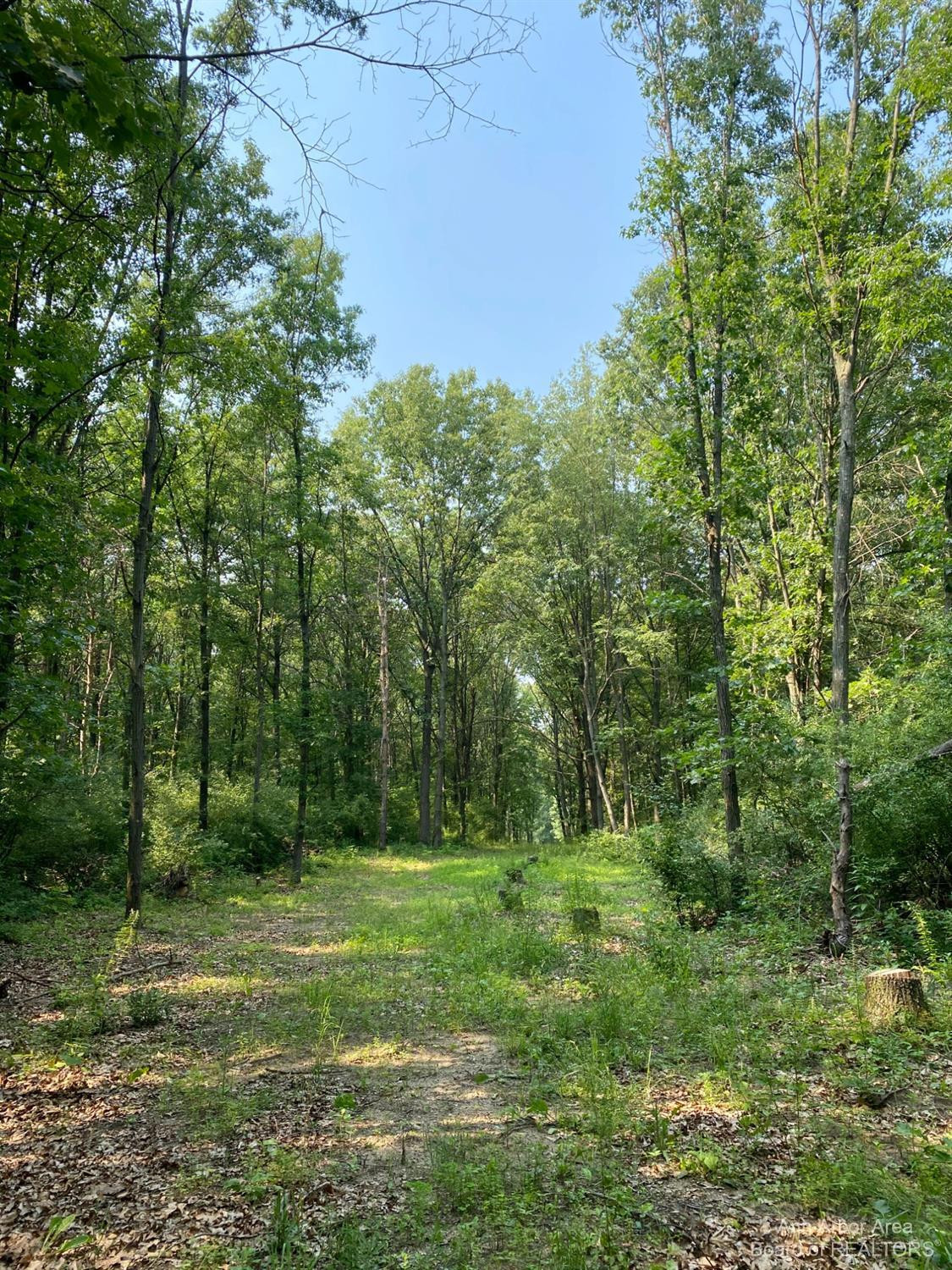 0 Whipple Road Jackson, MI 49201 - Photo 2 of 10 Photo 2