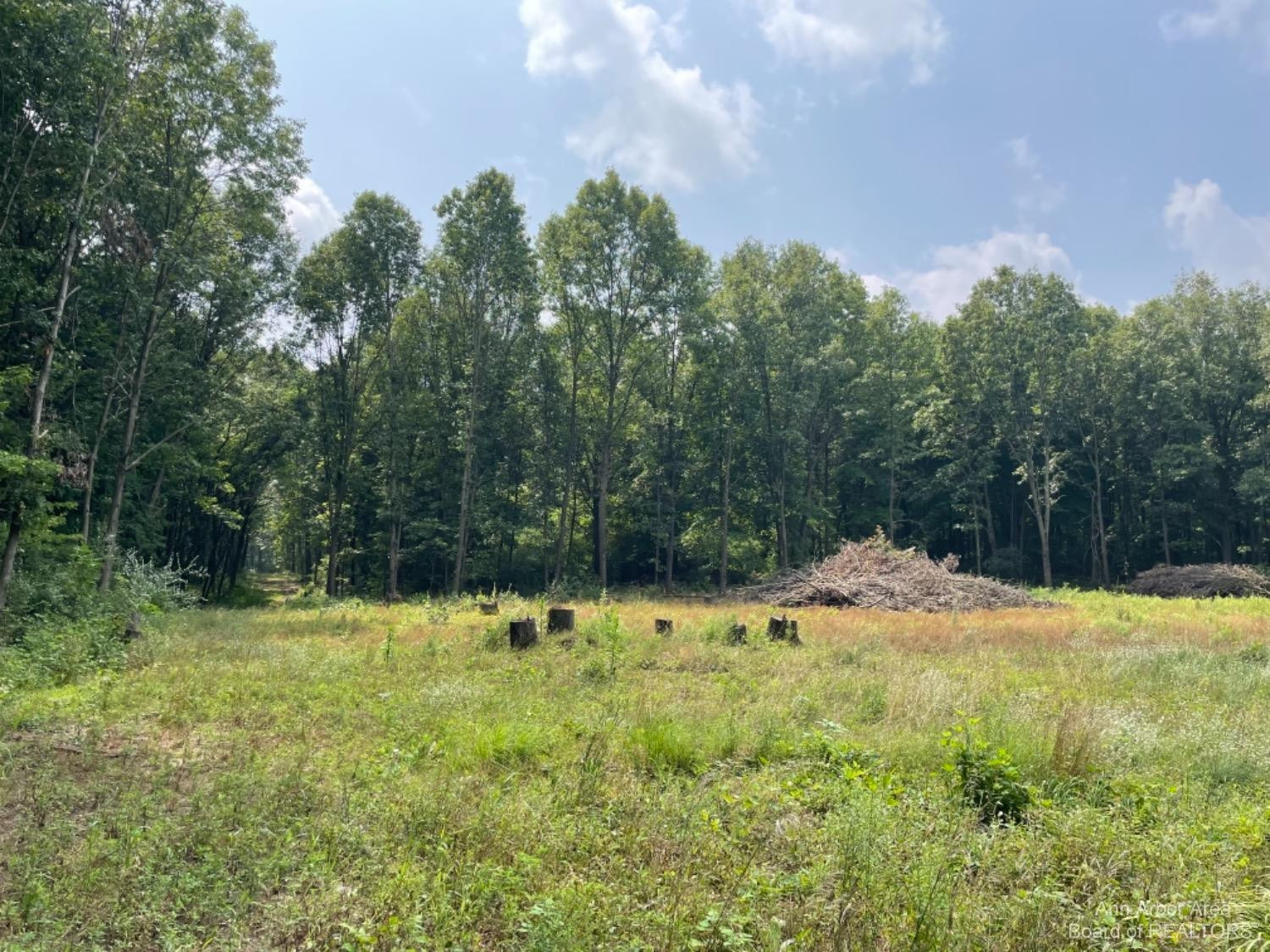 0 Whipple Road Jackson, MI 49201 - Photo 3 of 10 Photo 3