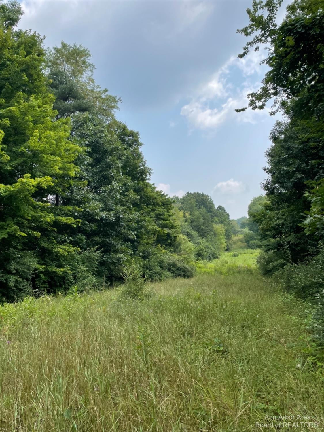 0 Whipple Road Jackson, MI 49201 - Photo 5 of 10 Photo 5
