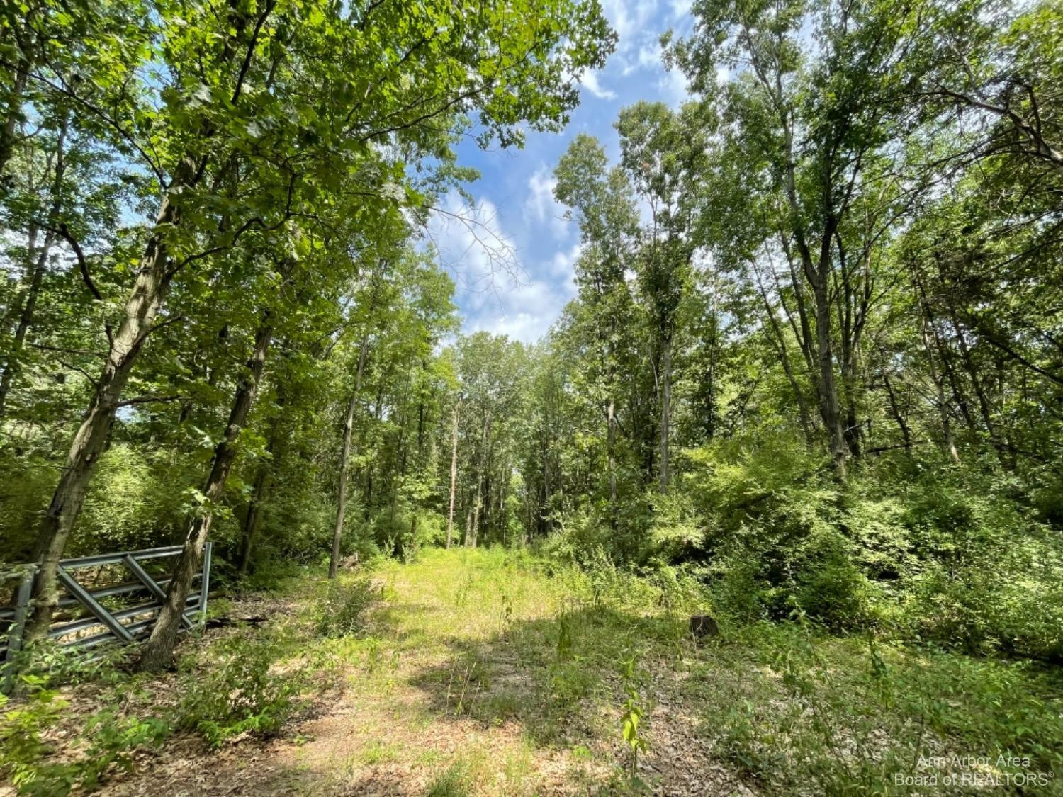 0 Whipple Road Jackson, MI 49201 - Photo 9 of 10 Photo 9