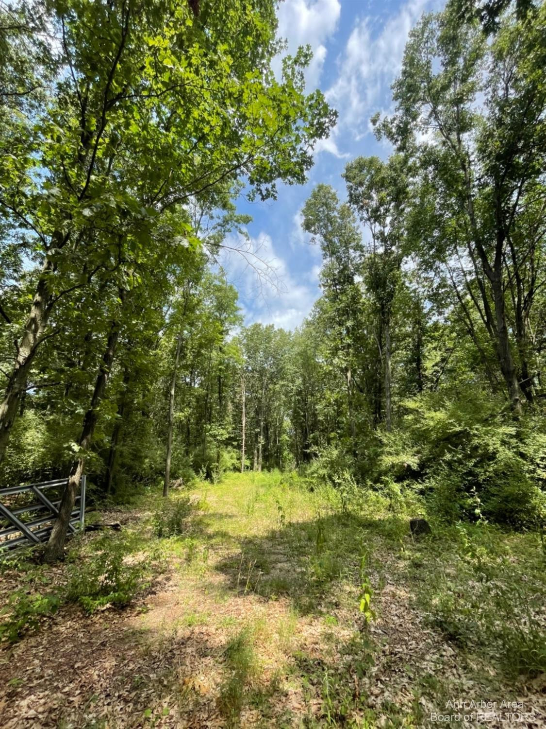 0 Whipple Road Jackson, MI 49201 - Photo 10 of 10 Photo 10