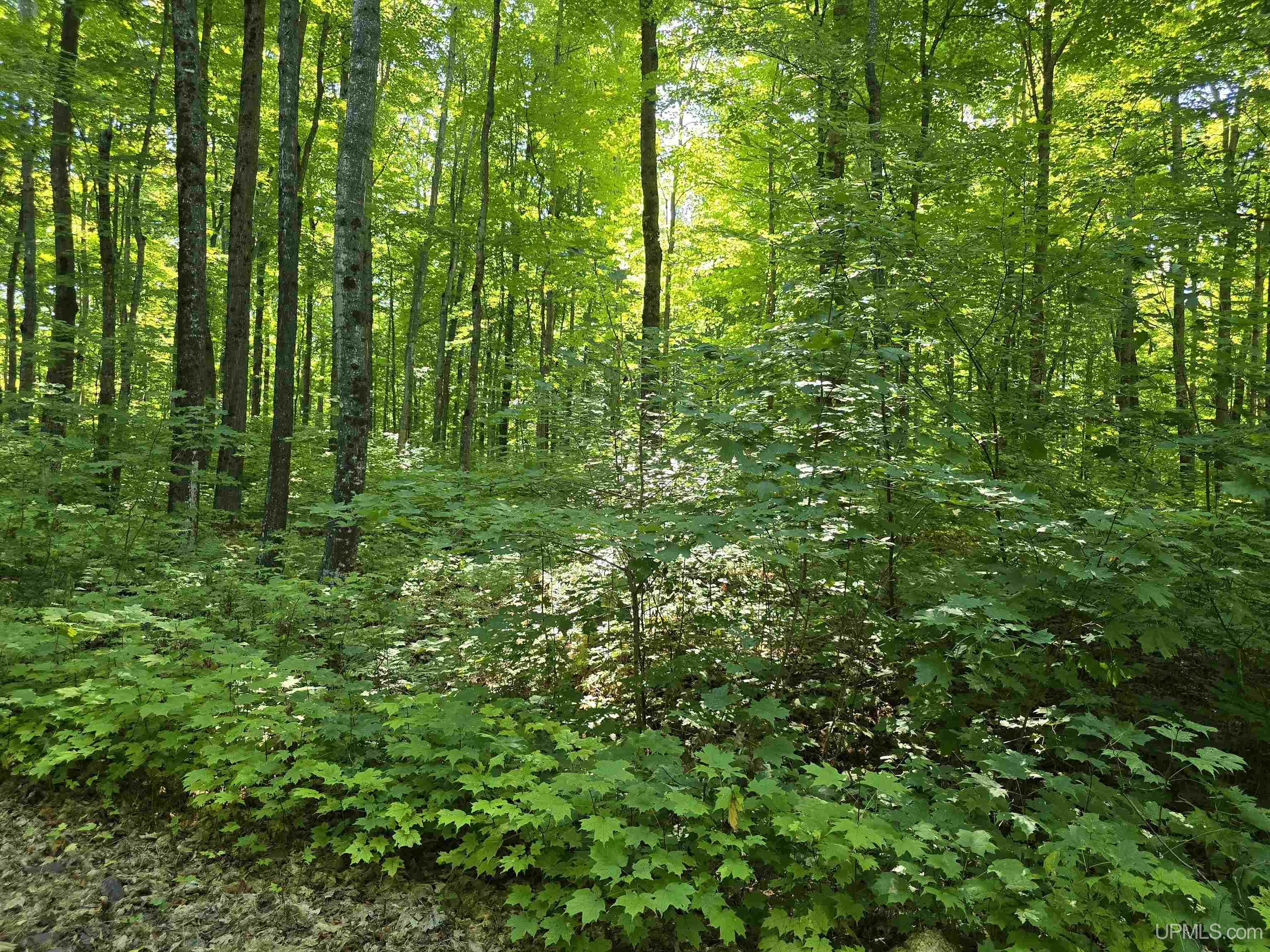12 Redridge Creek Road Atlantic Mine, MI 49905 - Photo 10 of 28