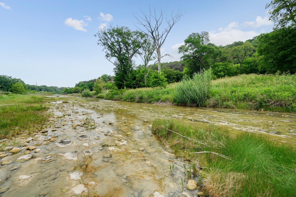 1020 River Road Wimberley, TX 78676 - Photo 33 of 40 a view of a yard with a tree