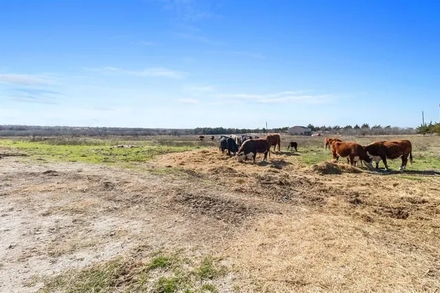a view of a garden with trees