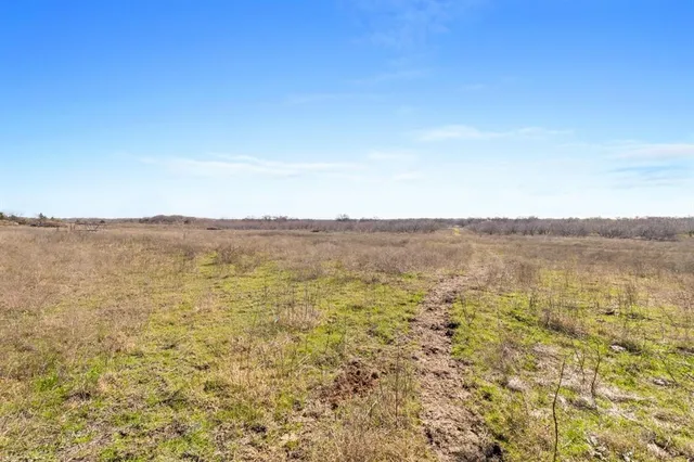 a black and white photo of a park