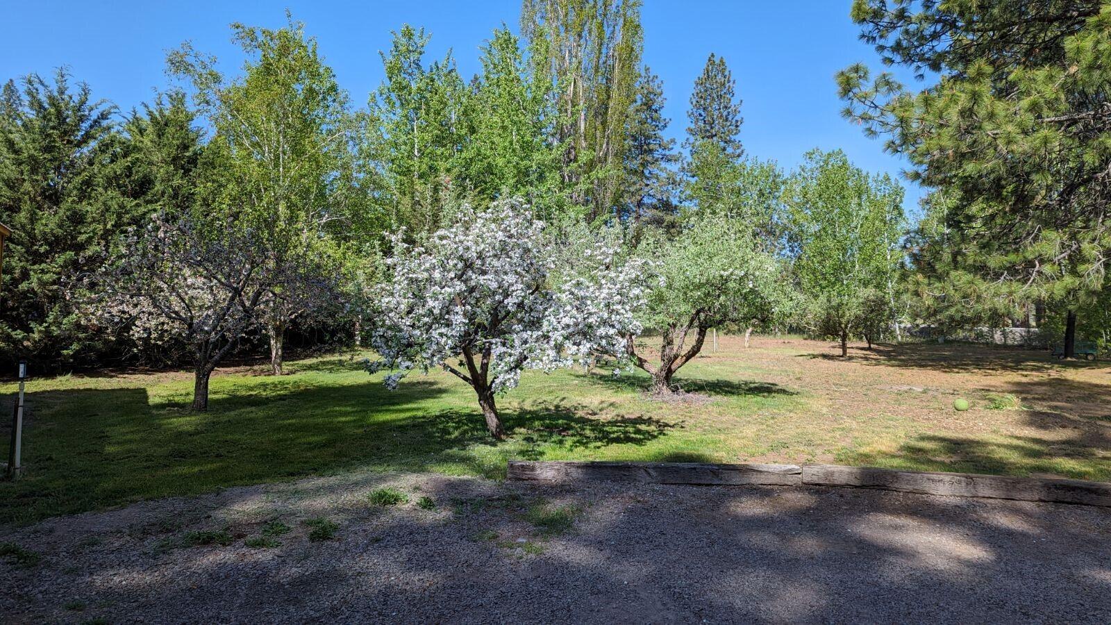 35235 South Chiloquin Road Chiloquin, OR 97624 - Photo 38 of 85 Orchard
