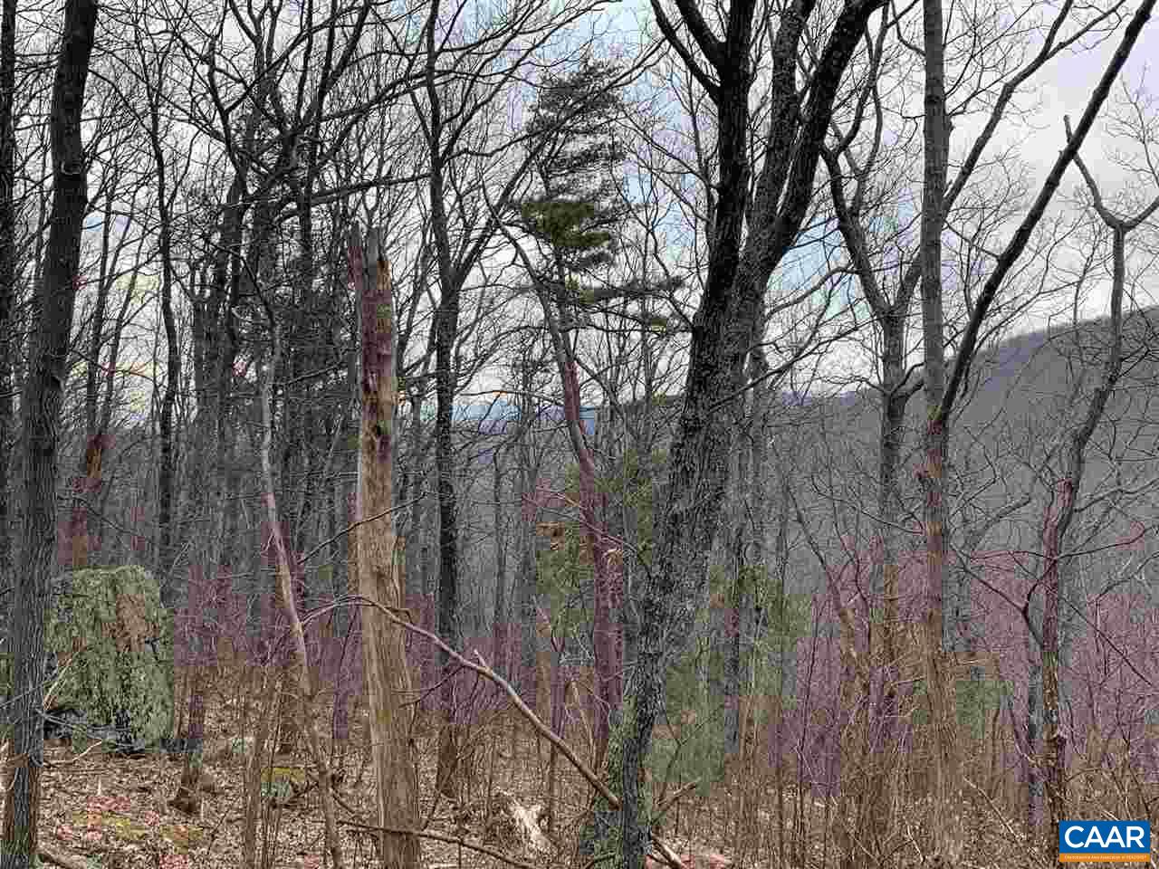 Lot 1-a & Road Stanardsville, VA 22973 - Photo 8 of 14 Gallery Image 8