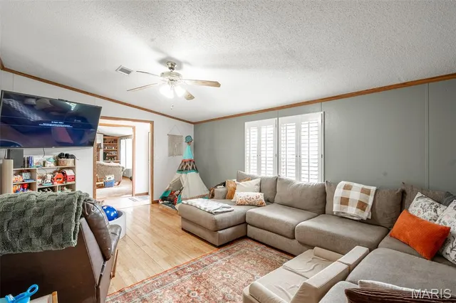 $245,000 | 923 Ripley Route, Naylor, MO 63953