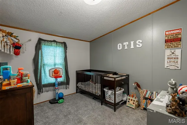 $245,000 | 923 Ripley Route, Naylor, MO 63953