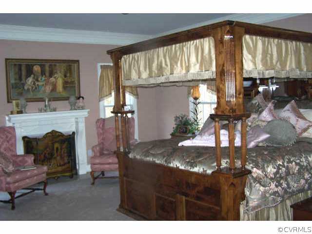 Other - 1st Floor Master Bedroom (fireplace is jus