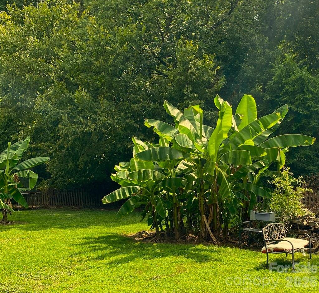 2457 Will Road York, SC 29745 - Photo 22 of 24