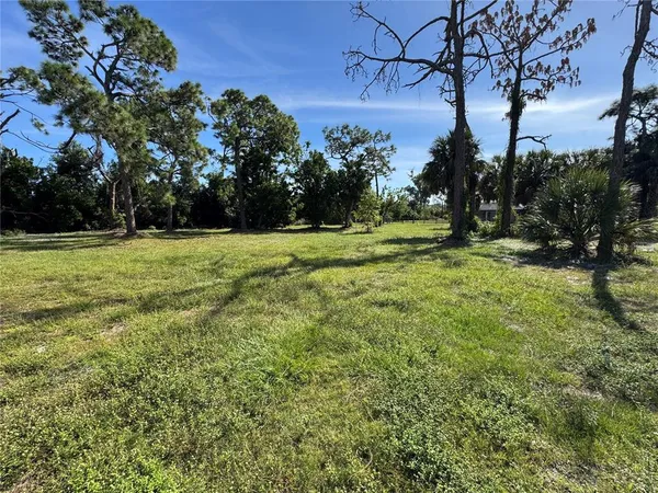 a big yard with lots of green space