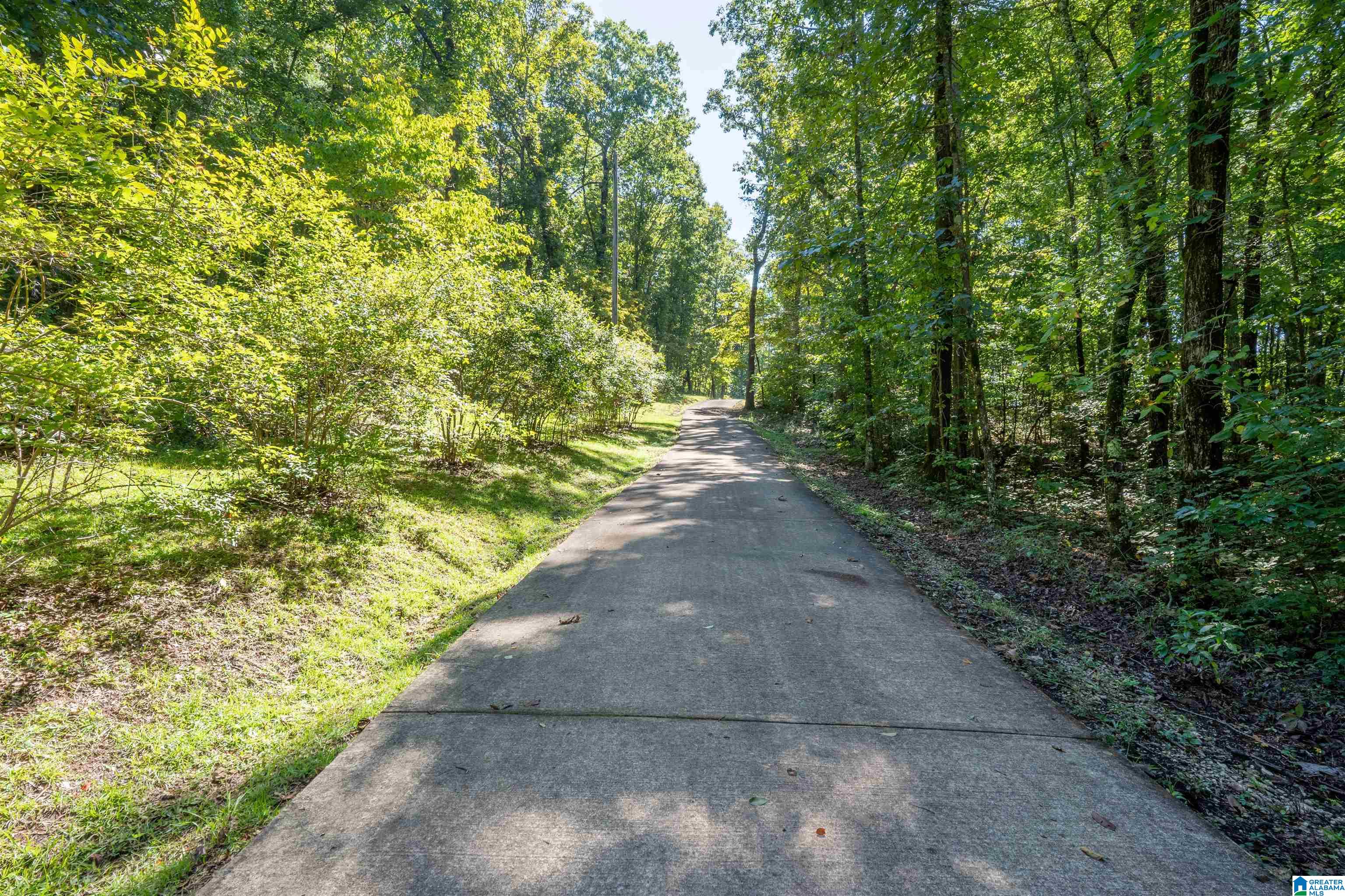 2264 Pleasant Valley Road Jacksonville, AL 36265 - Photo 9 of 45