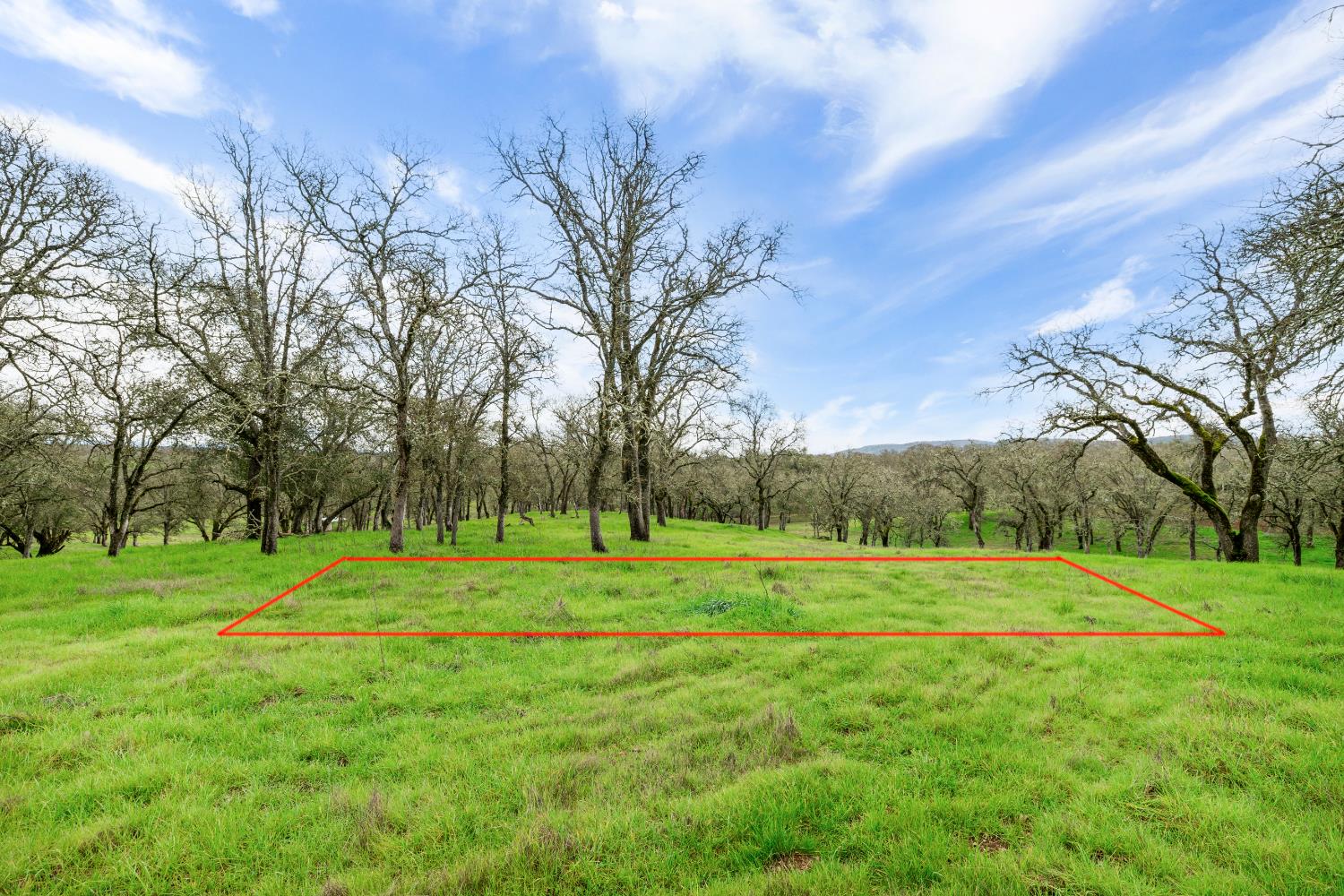 3570 Stagecoach Road Copperopolis, CA 95228 - Photo 44 of 67 Pad (1) check with County, Possible Detached ADU: A stand-alone building separated from the primary residence or a scenic spot—combining food, nature, and relaxation.