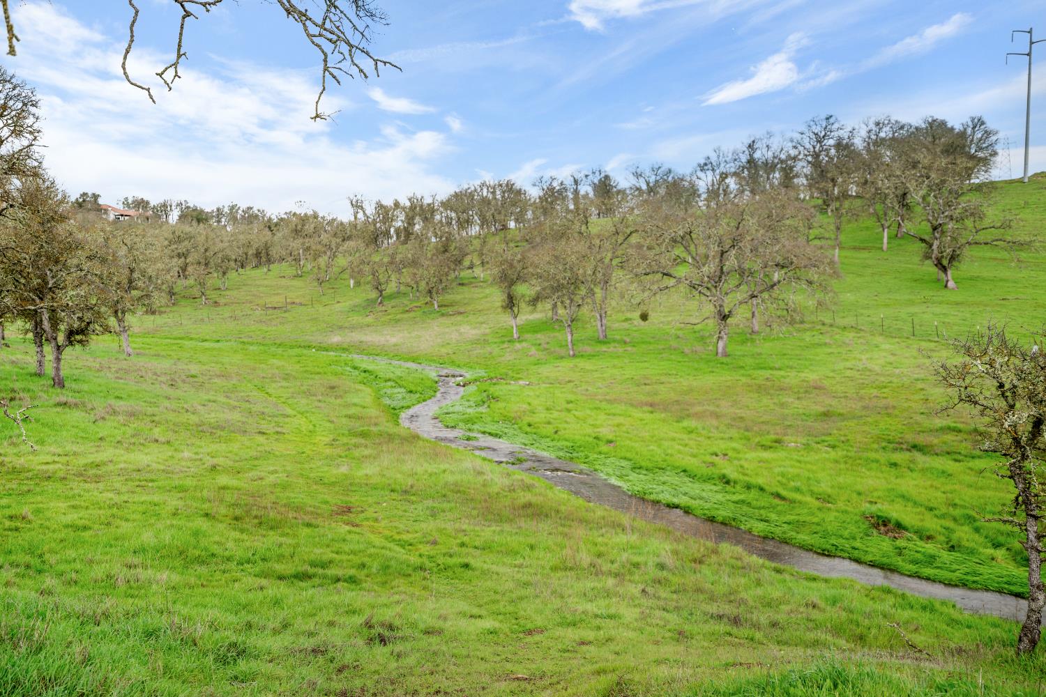 3570 Stagecoach Road Copperopolis, CA 95228 - Photo 47 of 67