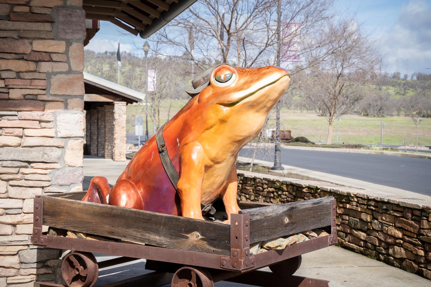 3570 Stagecoach Road Copperopolis, CA 95228 - Photo 50 of 67