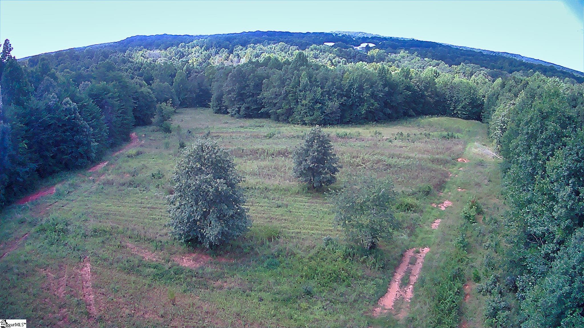 3130 East Gap Creek Road Greer, SC 29651 - Photo 1 of 5 Gallery Image 1