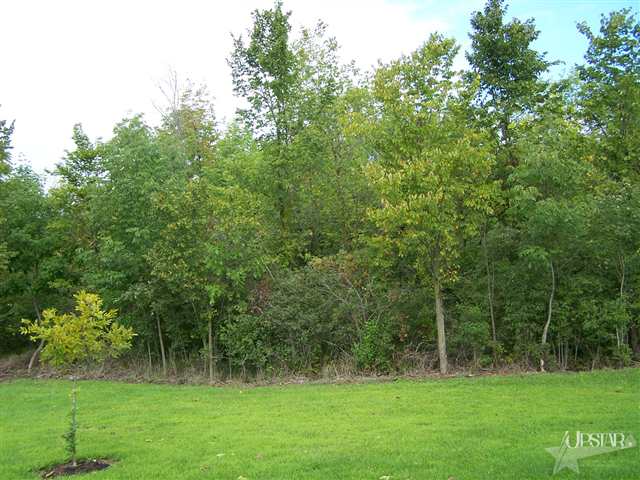 6055 Southeast Willow Road Warren, IN 46792 - Photo 3 of 8 Gallery Image 3