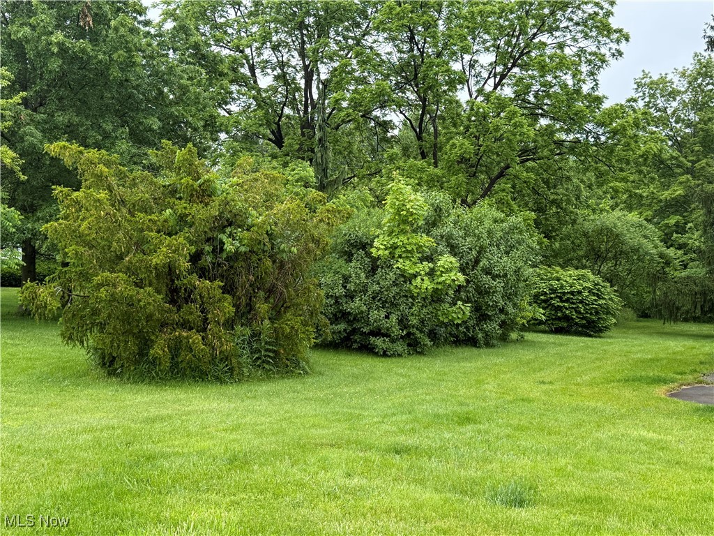 8503 Stanley Road Windham, OH 44288 - Photo 14 of 38 Gallery Image 14