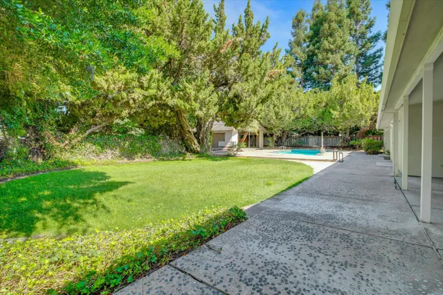 a view of a garden with trees