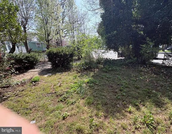 a view of a yard with plants and trees