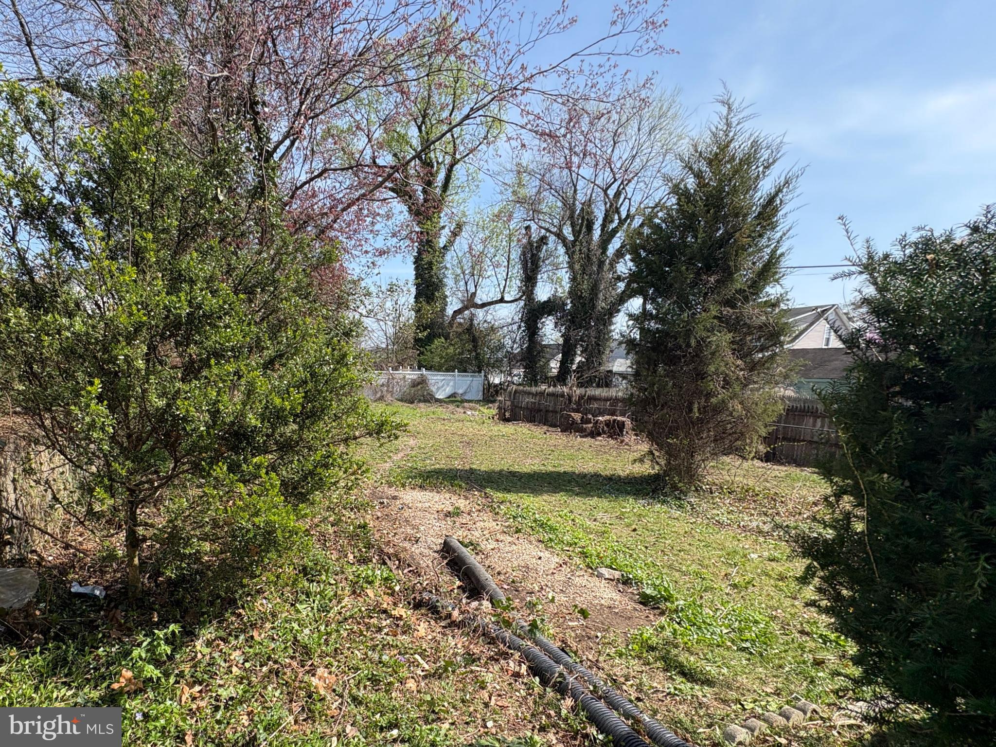 4321 Annapolis Road Baltimore, MD 21227 - Photo 5 of 17 Backyard