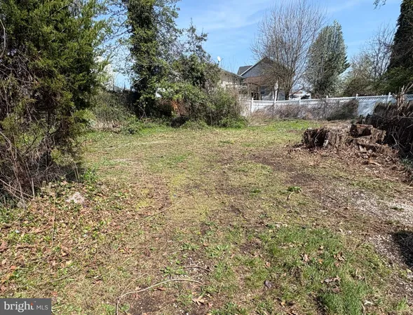 a view of a yard with an trees
