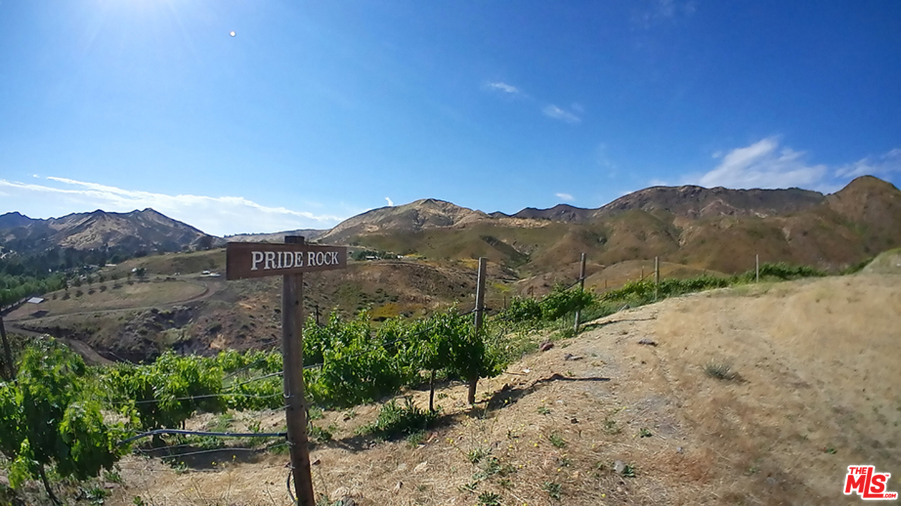 2714 Triunfo Canyon Road Agoura Hills, CA 91301 - Photo 15 of 29