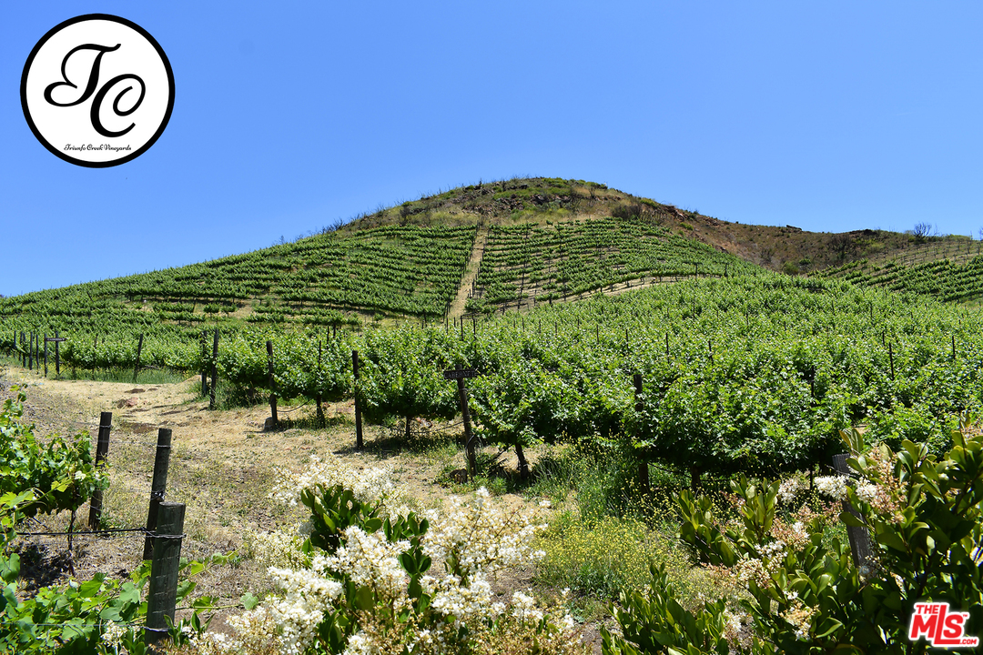 2714 Triunfo Canyon Road Agoura Hills, CA 91301 - Photo 7 of 29