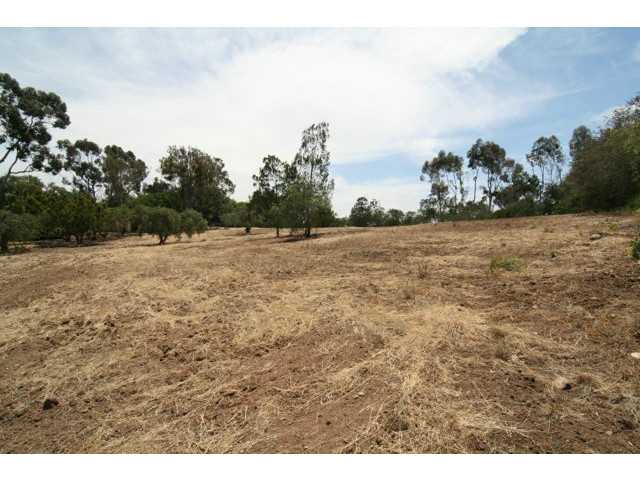 3-rd Lot On Righ 3-rd Rancho Santa Fe, CA 92067 - Photo 11 of 13 From the back of the lot looking south.