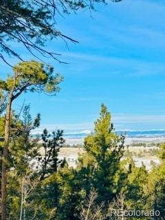 1022 Bellows Road Hartsel, CO 80449 - Photo 14 of 29