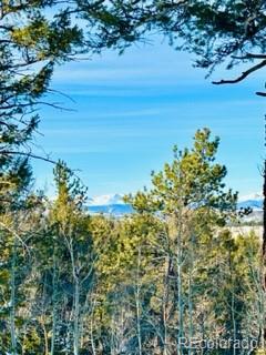 1022 Bellows Road Hartsel, CO 80449 - Photo 15 of 29