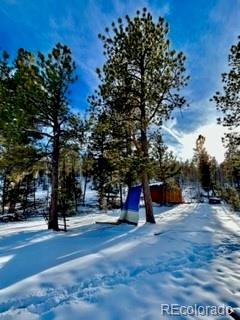1022 Bellows Road Hartsel, CO 80449 - Photo 17 of 29
