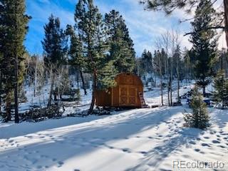 1022 Bellows Road Hartsel, CO 80449 - Photo 25 of 29