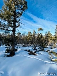 1022 Bellows Road Hartsel, CO 80449 - Photo 28 of 29