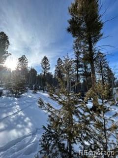 1022 Bellows Road Hartsel, CO 80449 - Photo 29 of 29