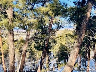 1022 Bellows Road Hartsel, CO 80449 - Photo 4 of 29