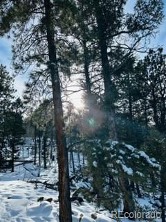 1022 Bellows Road Hartsel, CO 80449 - Photo 6 of 29