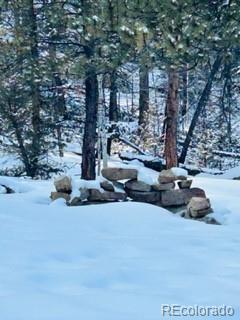 1022 Bellows Road Hartsel, CO 80449 - Photo 8 of 29