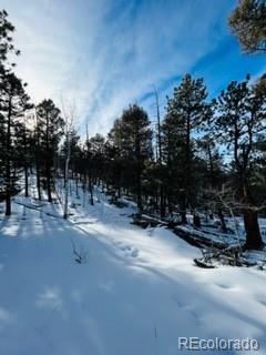 1022 Bellows Road Hartsel, CO 80449 - Photo 9 of 29