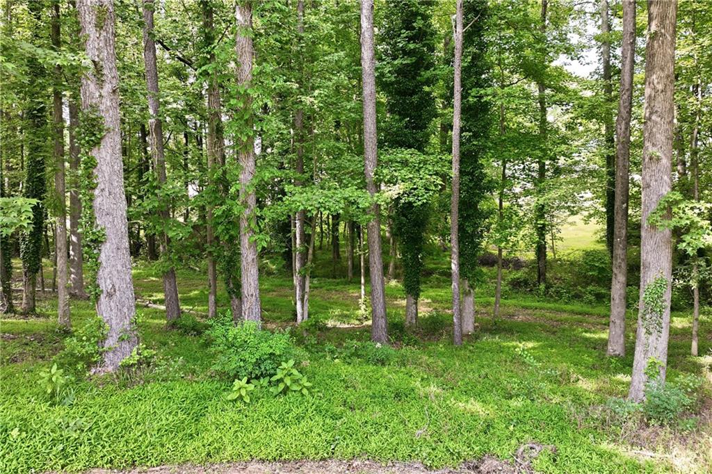 3608 Maple Forge Lane Gainesville, GA 30504 - Photo 40 of 45 a view of a forest with trees
